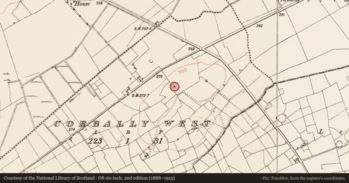 Ordnance Survey six-inch map, 2nd edition (1888–1915) covering the location of Ringfort - rath, Corbally West, County Roscommon, with a pin at the register's coordinates
