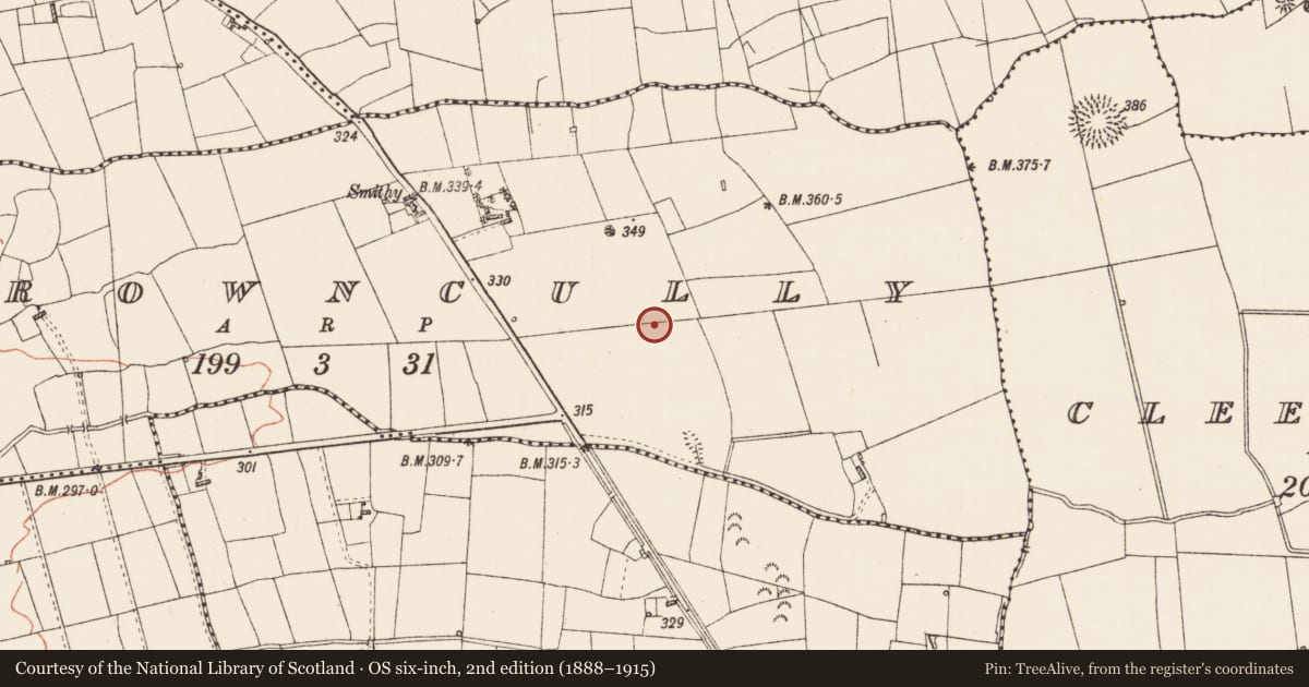 Ordnance Survey six-inch map, 2nd edition (1888–1915) covering the location of Ringfort - rath, Carrowncully, County Roscommon, with a pin at the register's coordinates