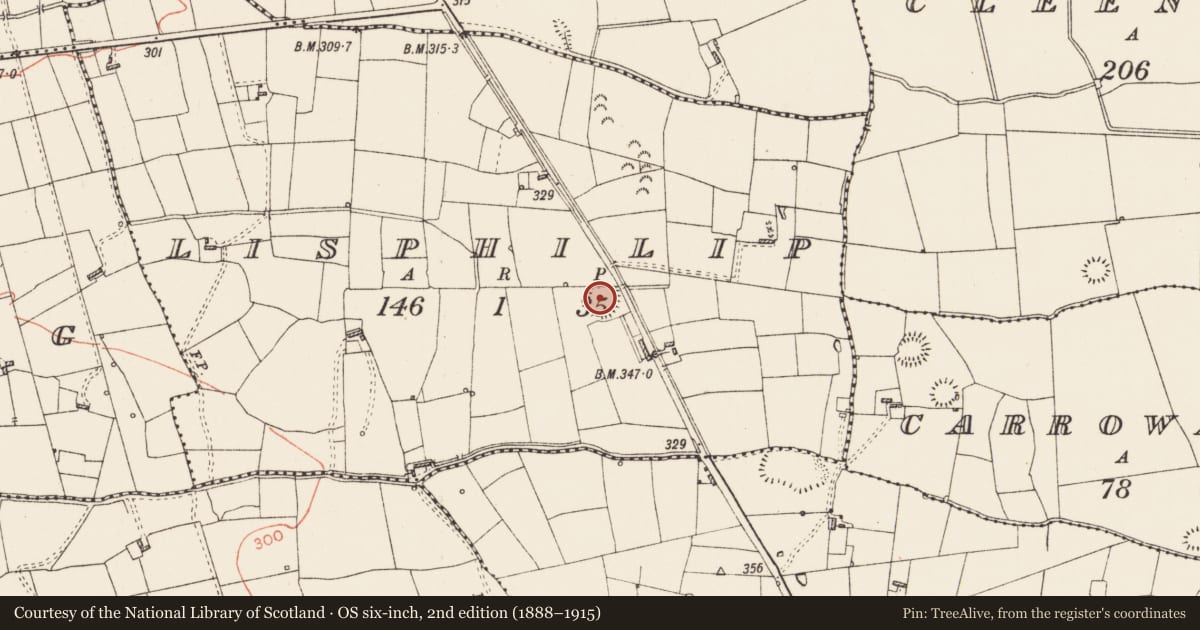 Ordnance Survey six-inch map, 2nd edition (1888–1915) covering the location of Ringfort - rath, Lisphilip, County Roscommon, with a pin at the register's coordinates