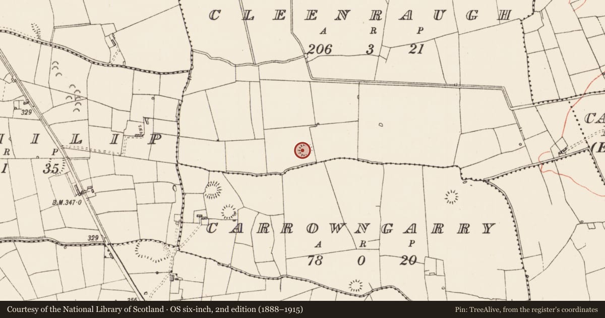 Ordnance Survey six-inch map, 2nd edition (1888–1915) covering the location of Ringfort - rath, Cleenraugh, County Roscommon, with a pin at the register's coordinates