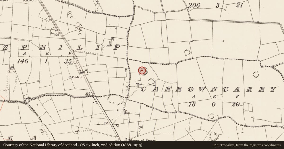 Ordnance Survey six-inch map, 2nd edition (1888–1915) covering the location of Ringfort - rath, Carrowngarry, County Roscommon, with a pin at the register's coordinates