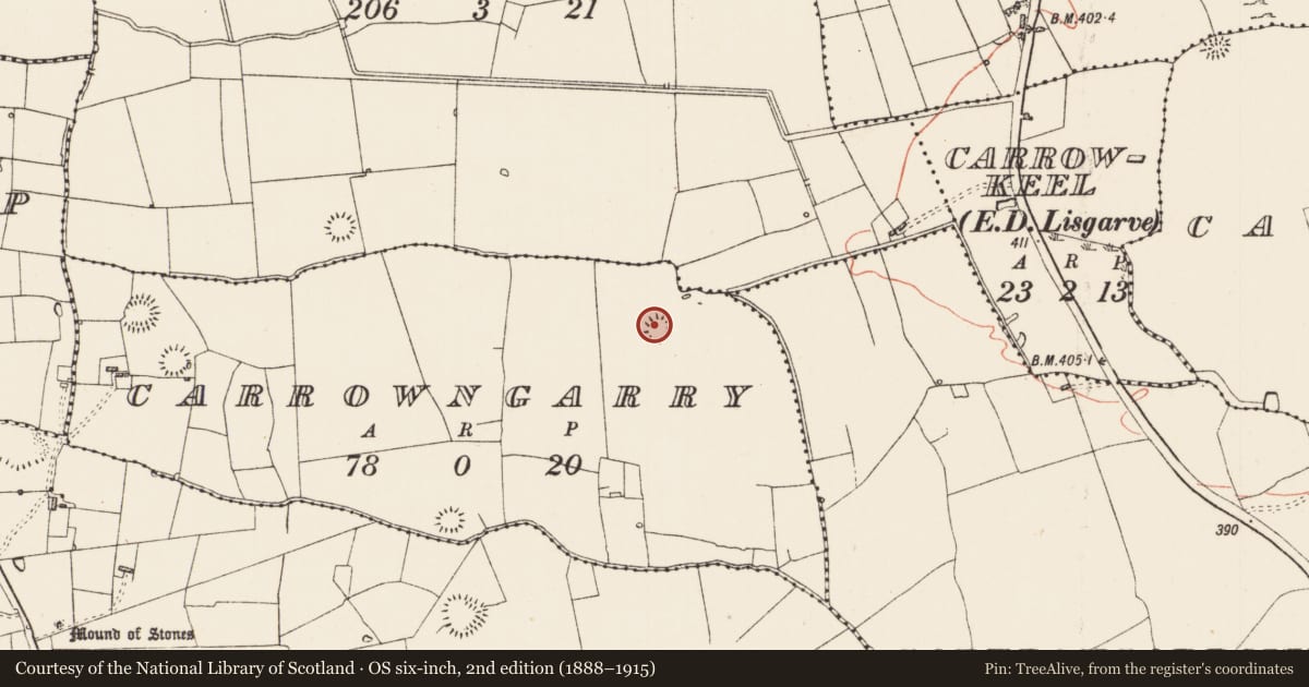 Ordnance Survey six-inch map, 2nd edition (1888–1915) covering the location of Ringfort - rath, Carrowngarry, County Roscommon, with a pin at the register's coordinates