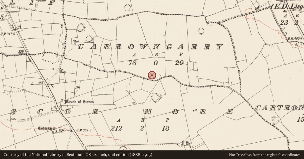 Ordnance Survey six-inch map, 2nd edition (1888–1915) covering the location of Ringfort - rath, Carrowngarry, Scor More, County Roscommon, with a pin at the register's coordinates