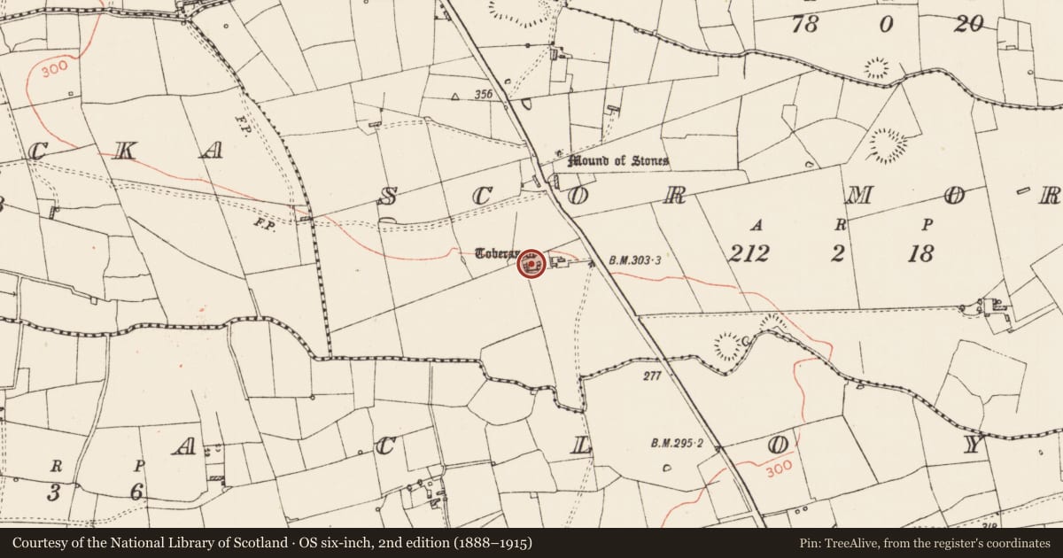 Ordnance Survey six-inch map, 2nd edition (1888–1915) covering the location of Ritual site - holy well, Scor More, County Roscommon, with a pin at the register's coordinates