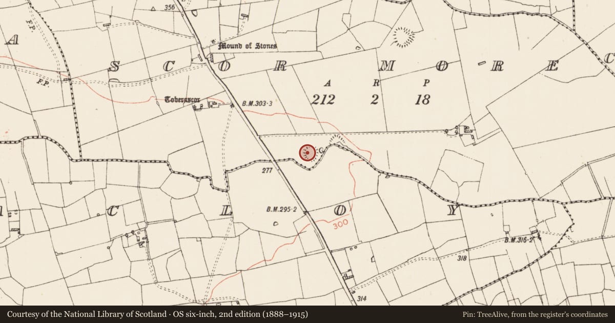 Ordnance Survey six-inch map, 2nd edition (1888–1915) covering the location of Ringfort - rath, Scor More, County Roscommon, with a pin at the register's coordinates