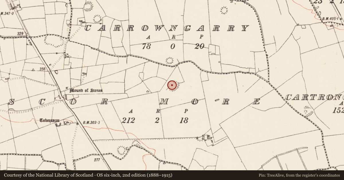 Ordnance Survey six-inch map, 2nd edition (1888–1915) covering the location of Ringfort - rath, Scor More, County Roscommon, with a pin at the register's coordinates