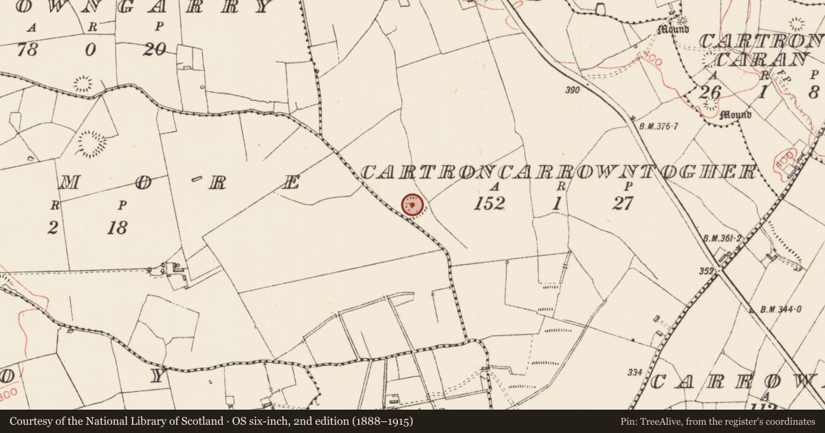 Ordnance Survey six-inch map, 2nd edition (1888–1915) covering the location of Ringfort - rath, Cartroncarrowntogher, County Roscommon, with a pin at the register's coordinates
