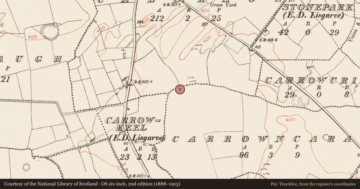 Ordnance Survey six-inch map, 2nd edition (1888–1915) covering the location of Ringfort - rath, Carrowncaran, County Roscommon, with a pin at the register's coordinates