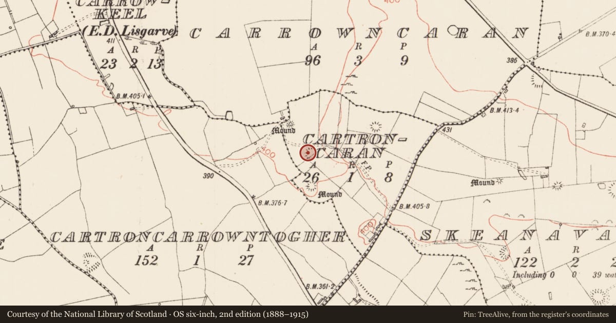 Ordnance Survey six-inch map, 2nd edition (1888–1915) covering the location of Ringfort - rath, Cartroncaran, County Roscommon, with a pin at the register's coordinates