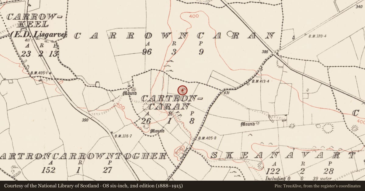 Ordnance Survey six-inch map, 2nd edition (1888–1915) covering the location of Ringfort - rath, Cartroncaran, County Roscommon, with a pin at the register's coordinates