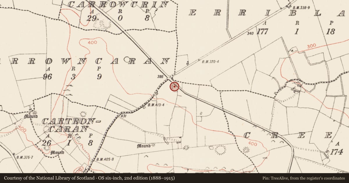Ordnance Survey six-inch map, 2nd edition (1888–1915) covering the location of Ringfort - rath, Skeanavart, County Roscommon, with a pin at the register's coordinates