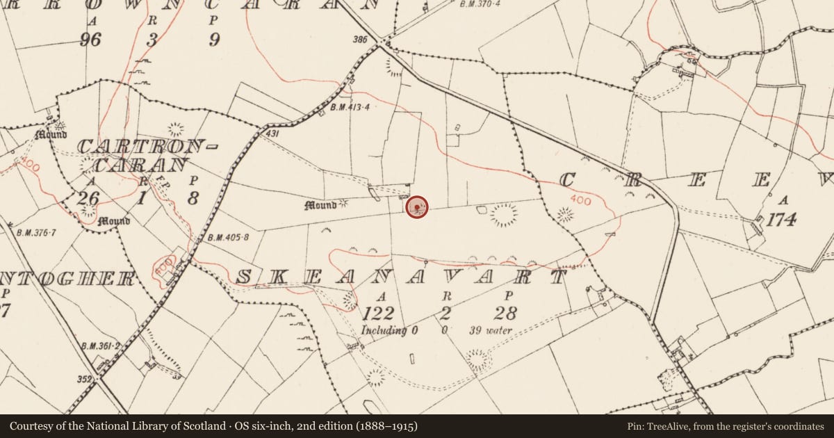 Ordnance Survey six-inch map, 2nd edition (1888–1915) covering the location of Barrow - ditch barrow, Skeanavart, County Roscommon, with a pin at the register's coordinates