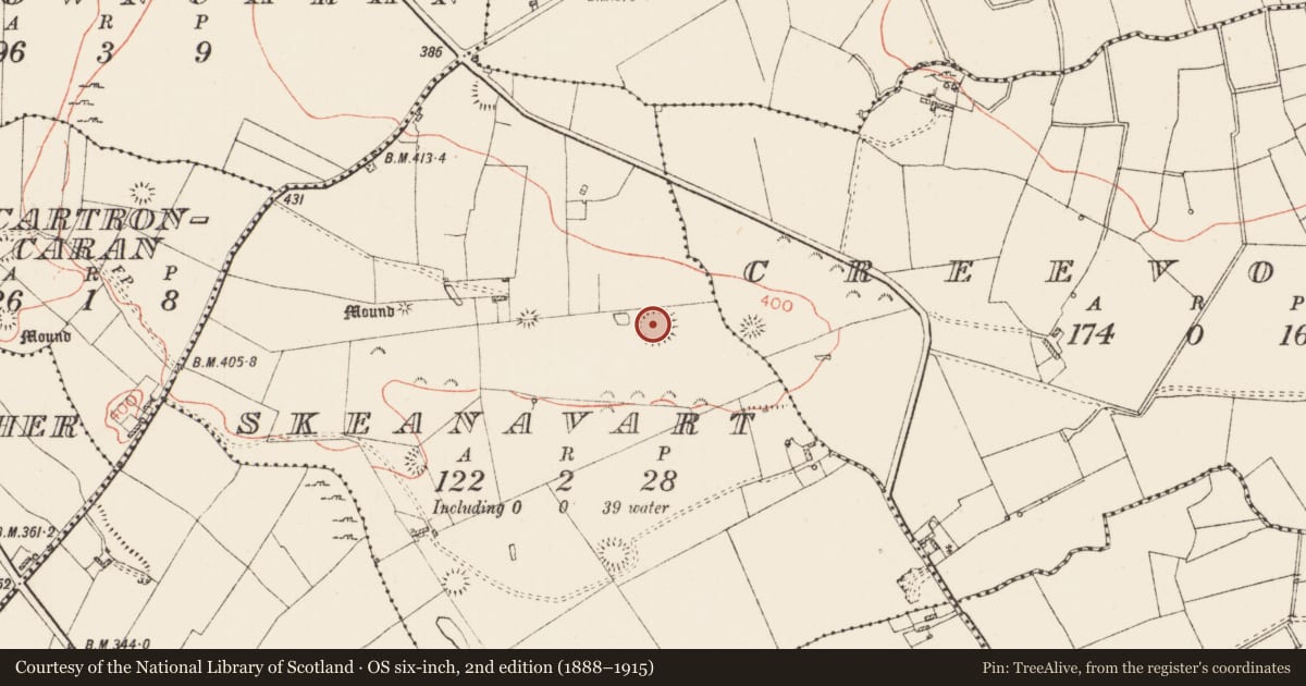 Ordnance Survey six-inch map, 2nd edition (1888–1915) covering the location of Ringfort - rath, Skeanavart, County Roscommon, with a pin at the register's coordinates