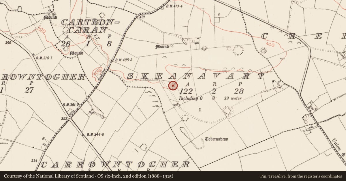 Ordnance Survey six-inch map, 2nd edition (1888–1915) covering the location of Ringfort - rath, Skeanavart, County Roscommon, with a pin at the register's coordinates