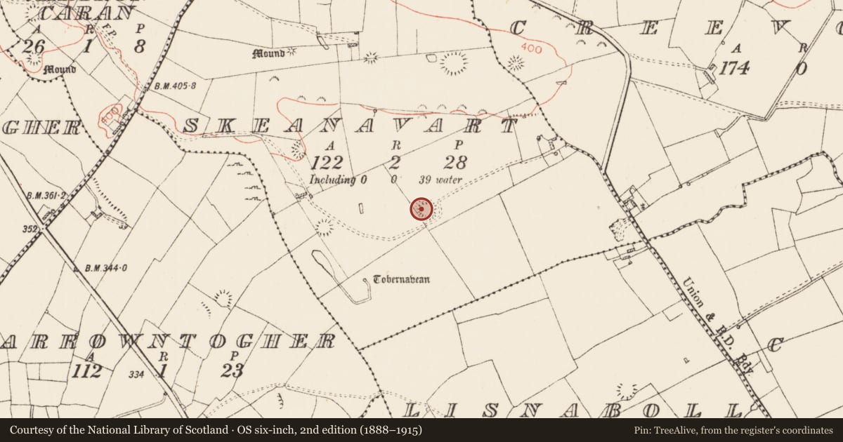 Ordnance Survey six-inch map, 2nd edition (1888–1915) covering the location of Ringfort - rath, Skeanavart, County Roscommon, with a pin at the register's coordinates