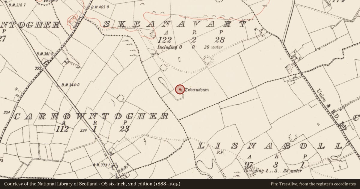 Ordnance Survey six-inch map, 2nd edition (1888–1915) covering the location of Ritual site - holy well, Skeanavart, County Roscommon, with a pin at the register's coordinates