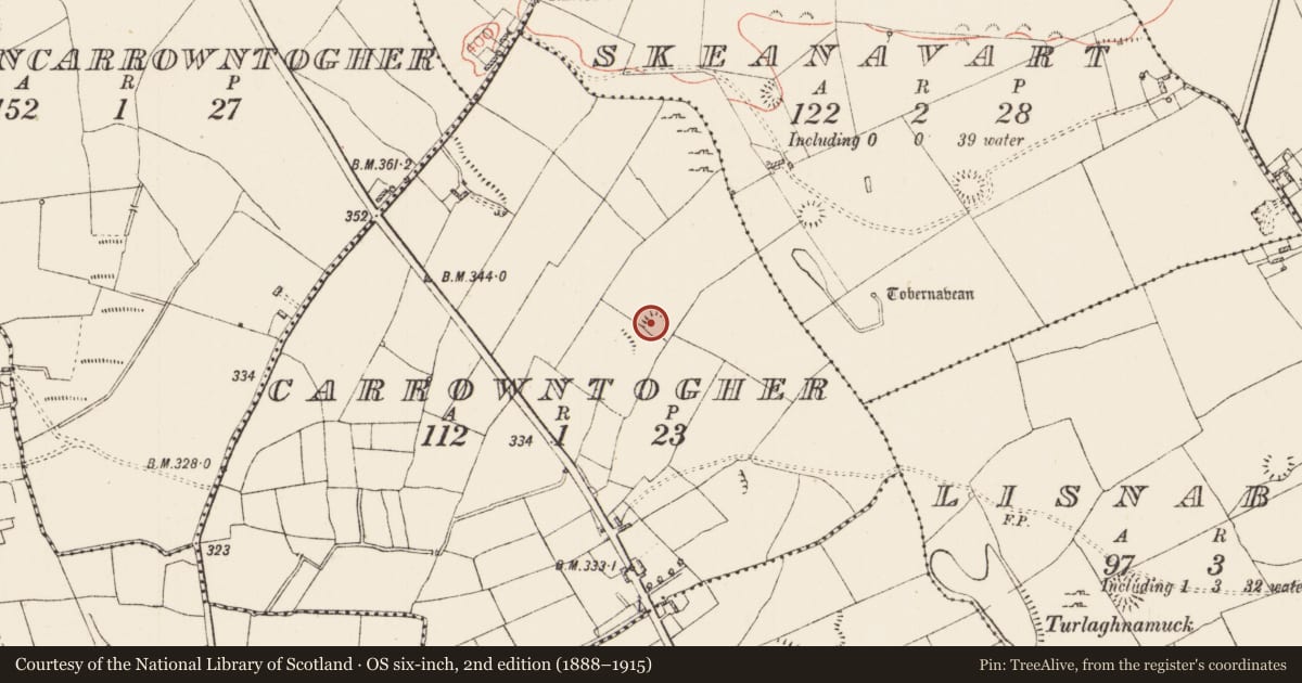 Ordnance Survey six-inch map, 2nd edition (1888–1915) covering the location of Ringfort - rath, Carrowntogher, County Roscommon, with a pin at the register's coordinates