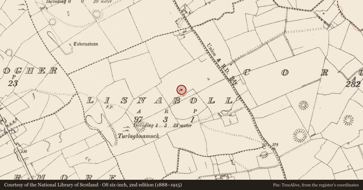 Ordnance Survey six-inch map, 2nd edition (1888–1915) covering the location of Ringfort - rath, Lisnaboll, County Roscommon, with a pin at the register's coordinates