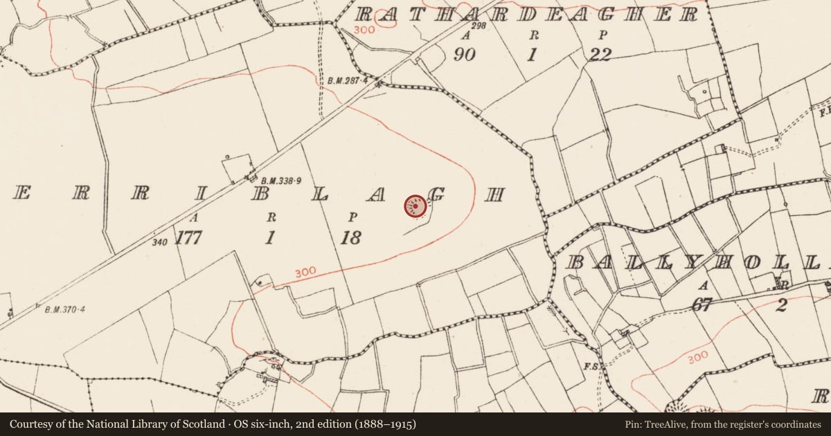 Ordnance Survey six-inch map, 2nd edition (1888–1915) covering the location of Ringfort - rath, Erriblagh, County Roscommon, with a pin at the register's coordinates