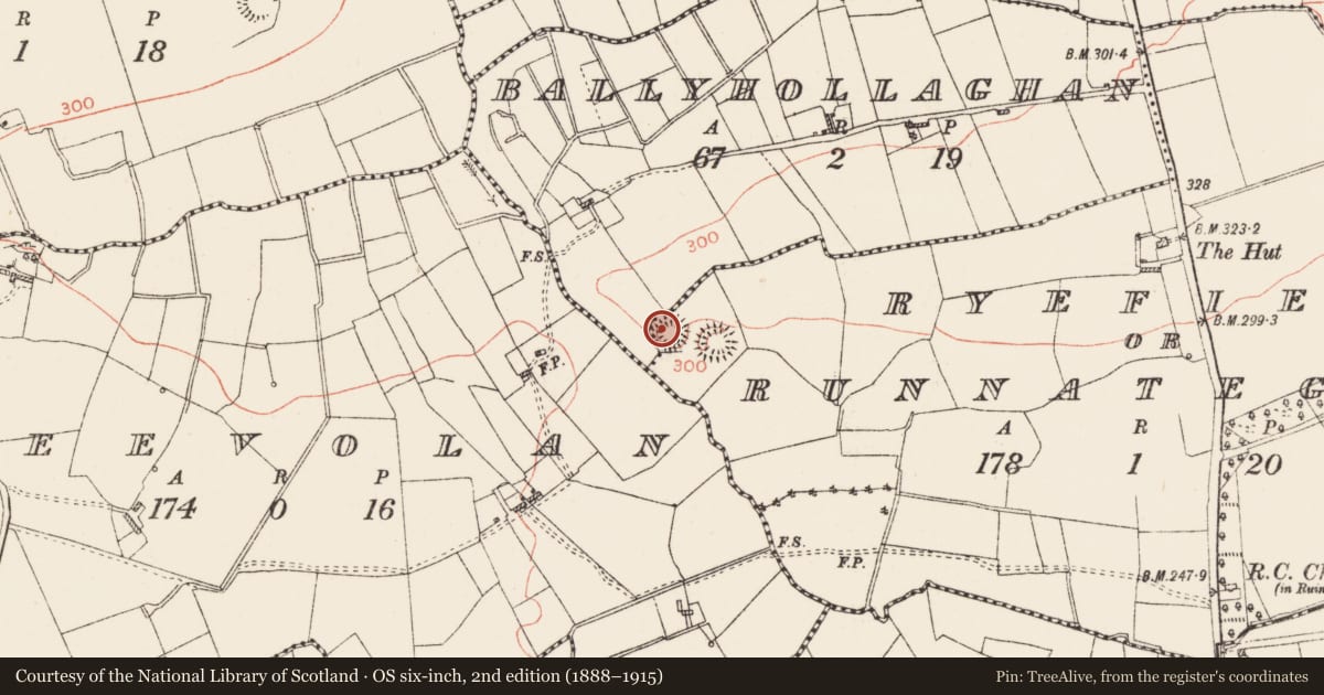 Ordnance Survey six-inch map, 2nd edition (1888–1915) covering the location of Ringfort - rath, Ballyhollaghan, Ryefield Or Runnateggal, County Roscommon, with a pin at the register's coordinates