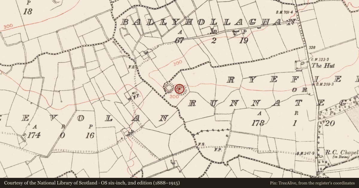 Ordnance Survey six-inch map, 2nd edition (1888–1915) covering the location of Ringfort - rath, Ryefield Or Runnateggal, County Roscommon, with a pin at the register's coordinates