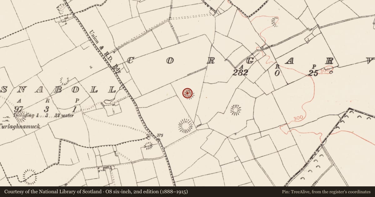 Ordnance Survey six-inch map, 2nd edition (1888–1915) covering the location of Ringfort - rath, Corgarve, County Roscommon, with a pin at the register's coordinates