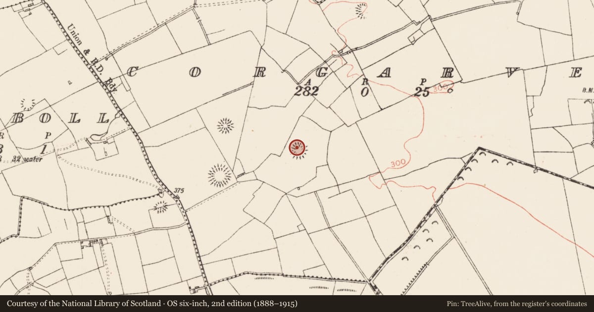Ordnance Survey six-inch map, 2nd edition (1888–1915) covering the location of Ringfort - rath, Corgarve, County Roscommon, with a pin at the register's coordinates