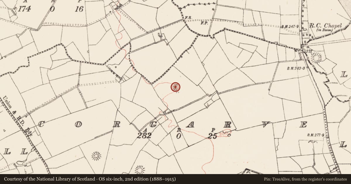 Ordnance Survey six-inch map, 2nd edition (1888–1915) covering the location of Ringfort - rath, Corgarve, County Roscommon, with a pin at the register's coordinates