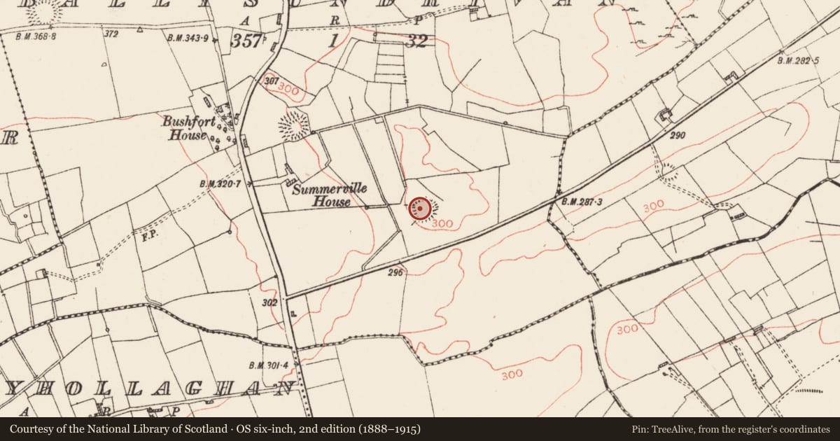 Ordnance Survey six-inch map, 2nd edition (1888–1915) covering the location of Ringfort - rath, Ballysundrivan, County Roscommon, with a pin at the register's coordinates
