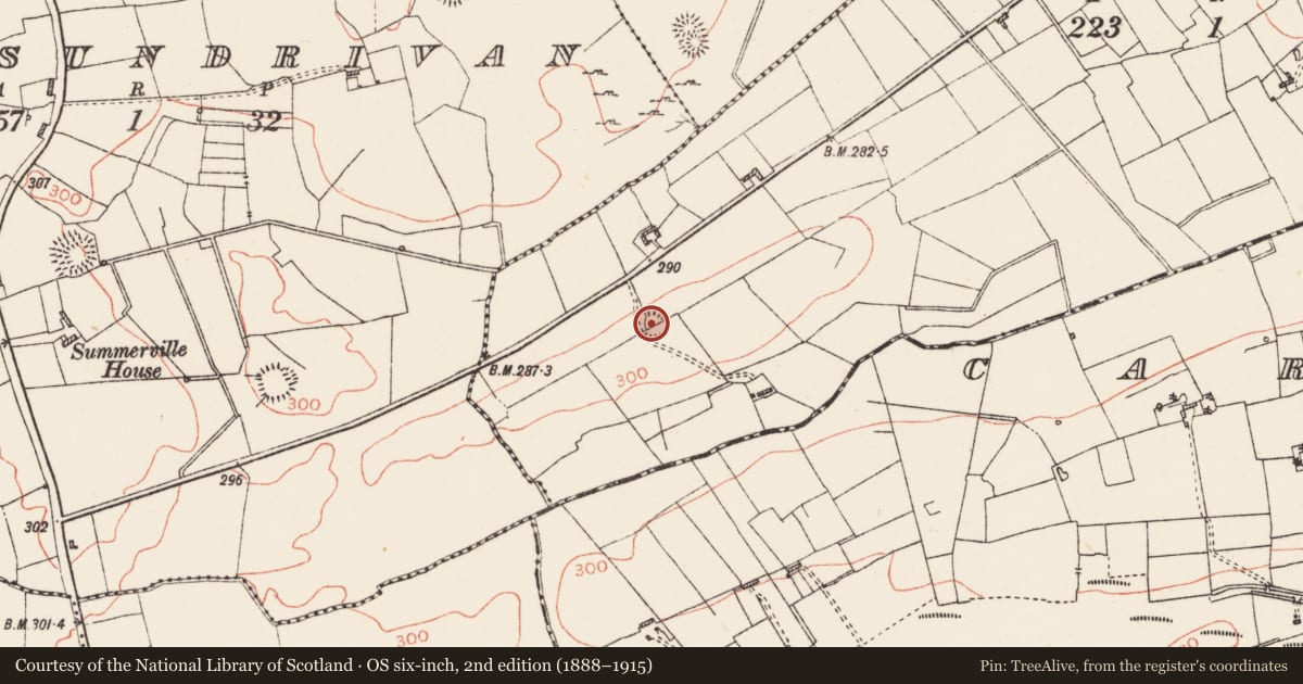 Ordnance Survey six-inch map, 2nd edition (1888–1915) covering the location of Ringfort - rath, Corbally West, County Roscommon, with a pin at the register's coordinates