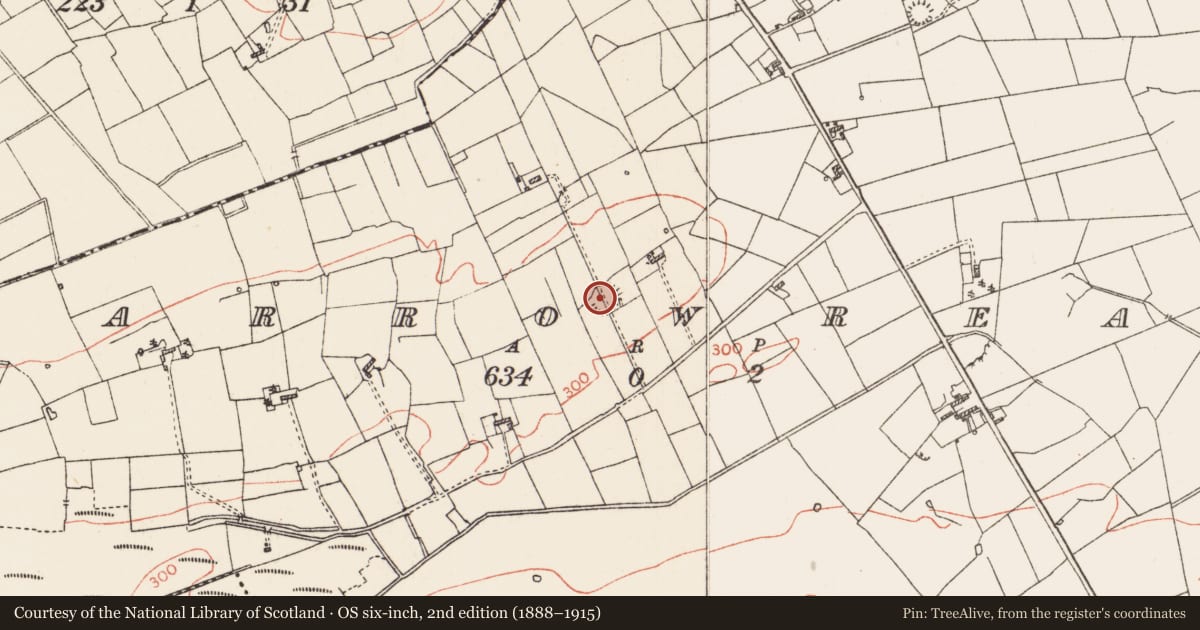 Ordnance Survey six-inch map, 2nd edition (1888–1915) covering the location of Ringfort - rath, Carrowreagh, County Roscommon, with a pin at the register's coordinates