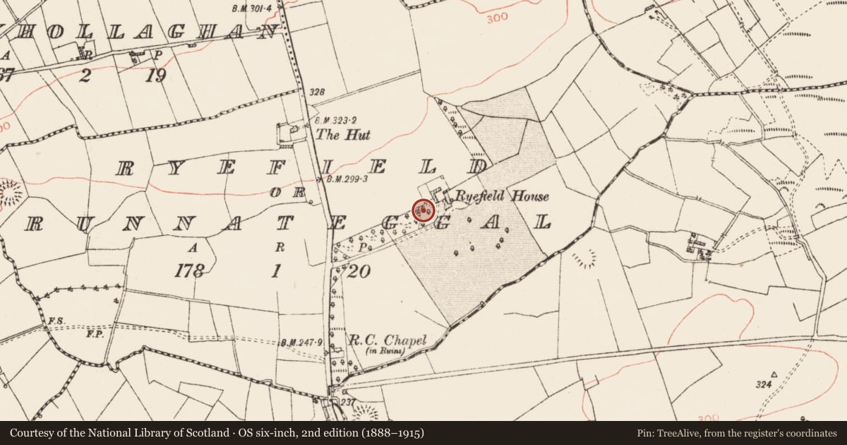 Ordnance Survey six-inch map, 2nd edition (1888–1915) covering the location of Ringfort - rath, Ryefield Or Runnateggal, County Roscommon, with a pin at the register's coordinates