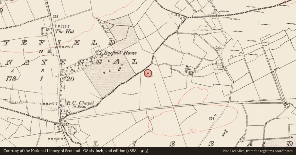 Ordnance Survey six-inch map, 2nd edition (1888–1915) covering the location of Ringfort - rath, Lissadorn, County Roscommon, with a pin at the register's coordinates