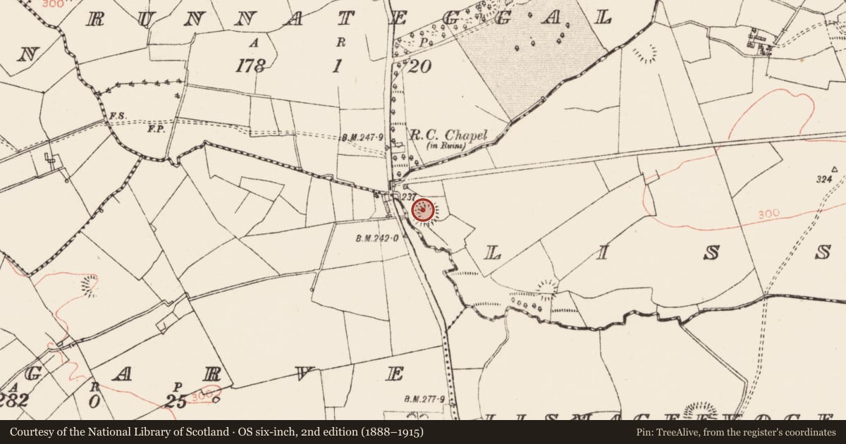Ordnance Survey six-inch map, 2nd edition (1888–1915) covering the location of Ringfort - rath, Lissadorn, County Roscommon, with a pin at the register's coordinates