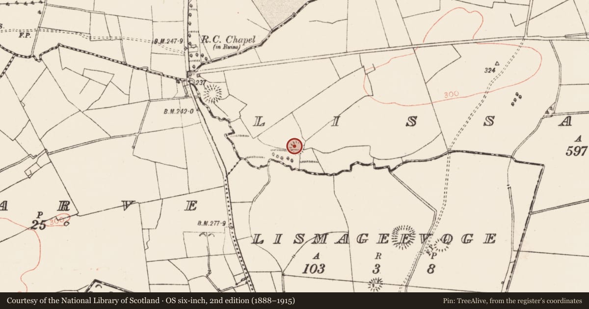 Ordnance Survey six-inch map, 2nd edition (1888–1915) covering the location of Ringfort - rath, Lissadorn, County Roscommon, with a pin at the register's coordinates