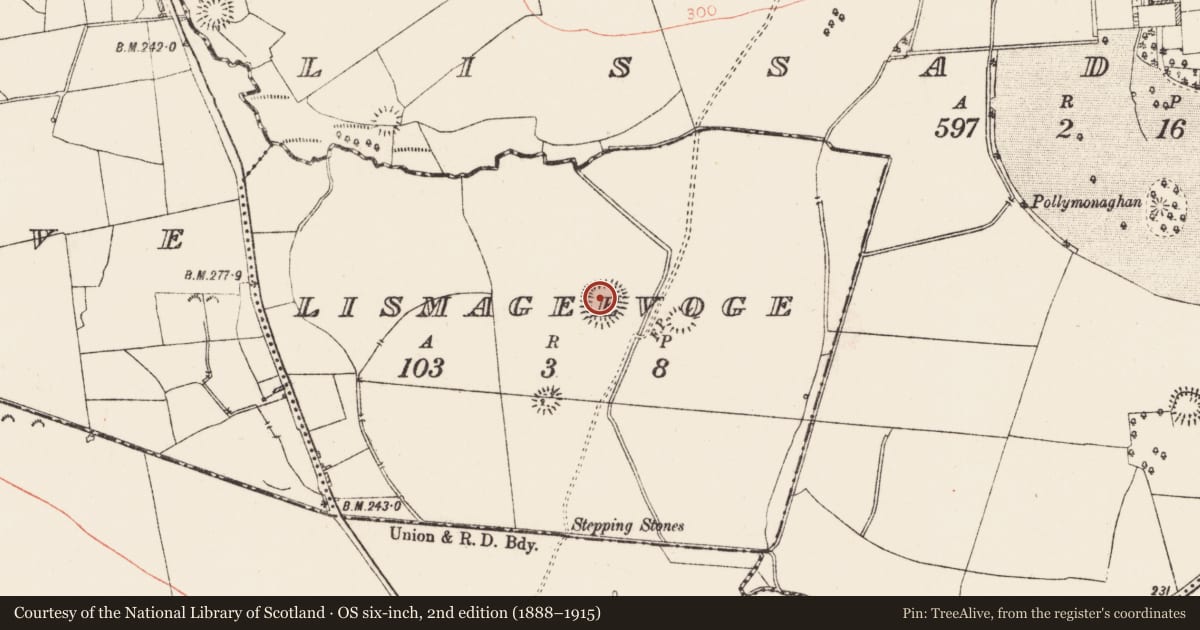 Ordnance Survey six-inch map, 2nd edition (1888–1915) covering the location of Ringfort - rath, Lismageevoge, County Roscommon, with a pin at the register's coordinates