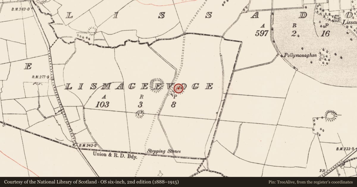 Ordnance Survey six-inch map, 2nd edition (1888–1915) covering the location of Ringfort - rath, Lismageevoge, County Roscommon, with a pin at the register's coordinates