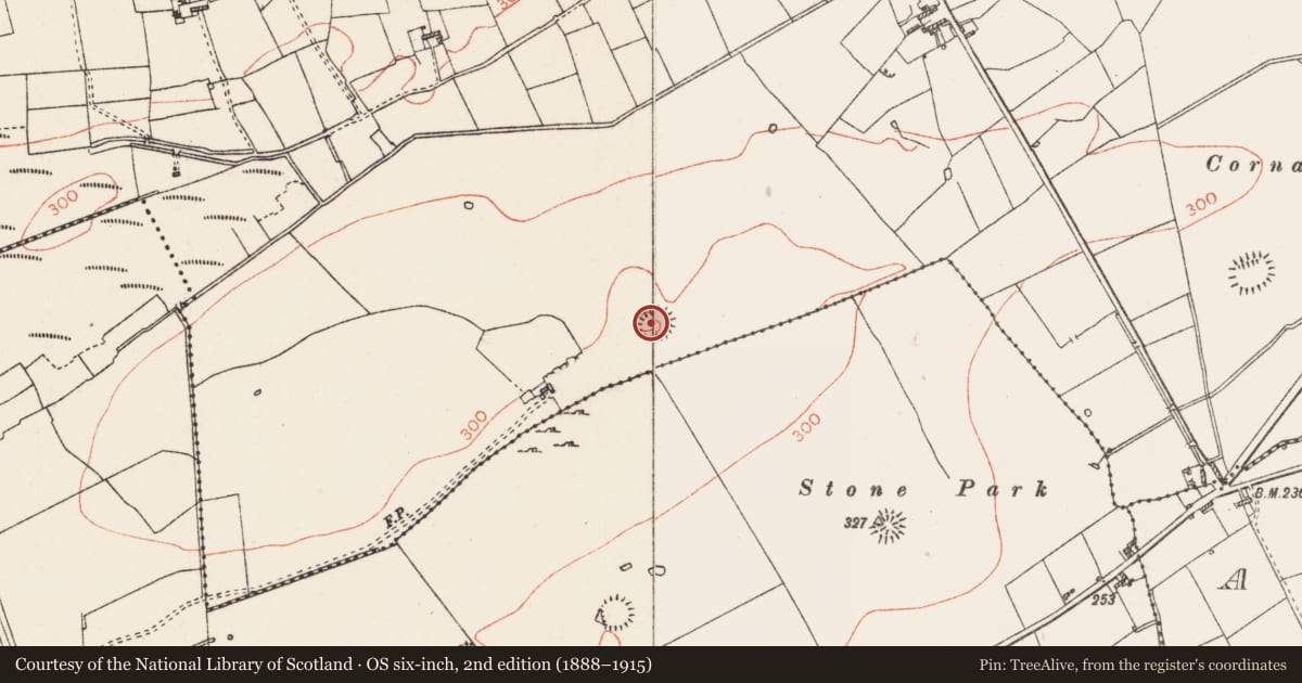 Ordnance Survey six-inch map, 2nd edition (1888–1915) covering the location of Ringfort - rath, Carrowreagh, County Roscommon, with a pin at the register's coordinates