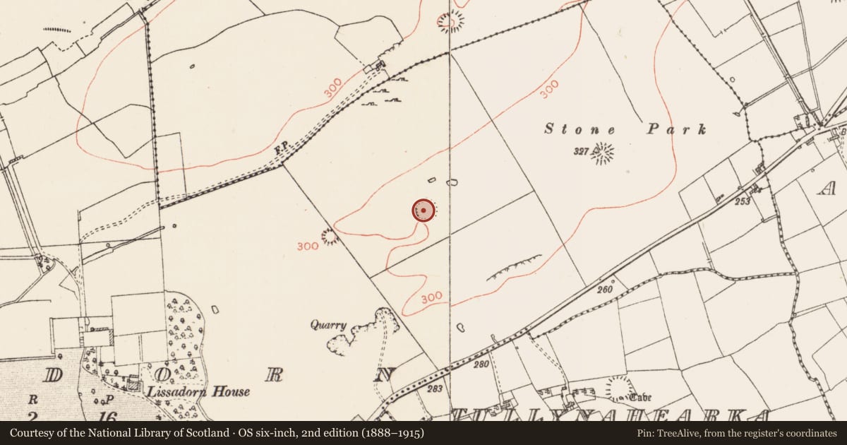 Ordnance Survey six-inch map, 2nd edition (1888–1915) covering the location of Ringfort - rath, Lissadorn, County Roscommon, with a pin at the register's coordinates