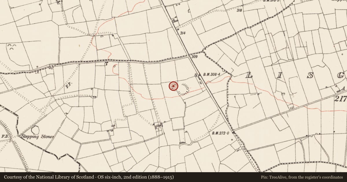 Ordnance Survey six-inch map, 2nd edition (1888–1915) covering the location of Ringfort - rath, Lismacool, County Roscommon, with a pin at the register's coordinates
