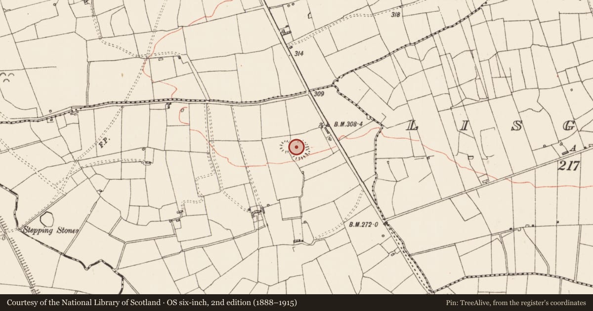 Ordnance Survey six-inch map, 2nd edition (1888–1915) covering the location of Ringfort - rath, Lismacool, County Roscommon, with a pin at the register's coordinates