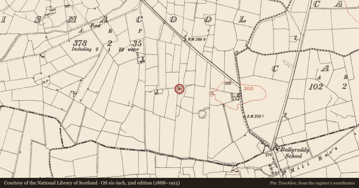 Ordnance Survey six-inch map, 2nd edition (1888–1915) covering the location of Ringfort - rath, Lismacool, County Roscommon, with a pin at the register's coordinates