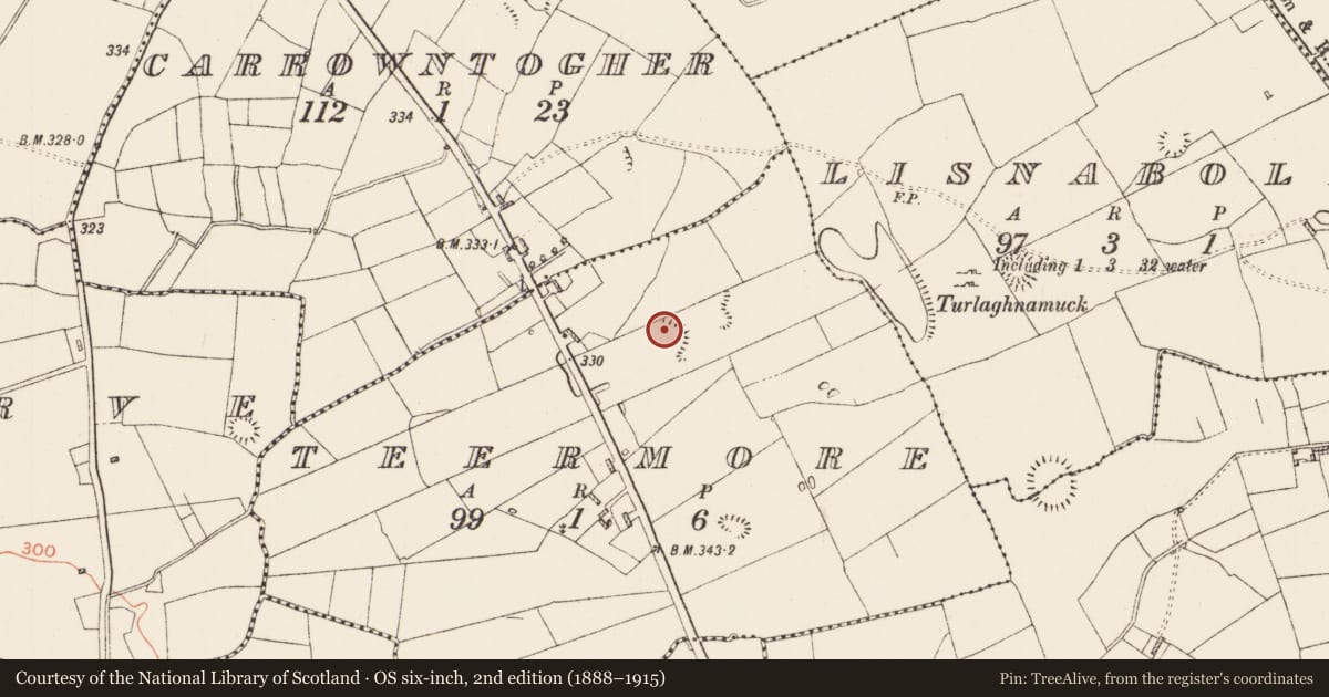 Ordnance Survey six-inch map, 2nd edition (1888–1915) covering the location of Ringfort - rath, Teermore, County Roscommon, with a pin at the register's coordinates
