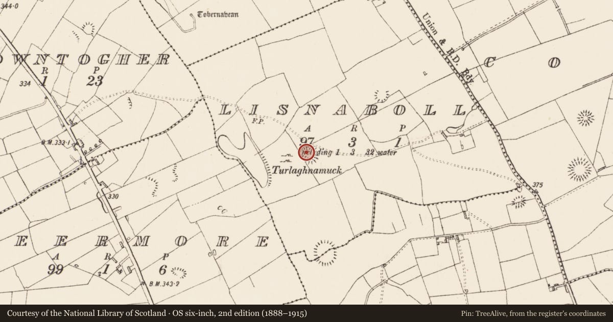 Ordnance Survey six-inch map, 2nd edition (1888–1915) covering the location of Ringfort - rath, Lisnaboll, County Roscommon, with a pin at the register's coordinates