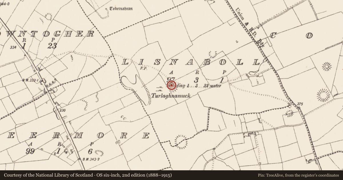 Ordnance Survey six-inch map, 2nd edition (1888–1915) covering the location of Hut site, Lisnaboll, County Roscommon, with a pin at the register's coordinates
