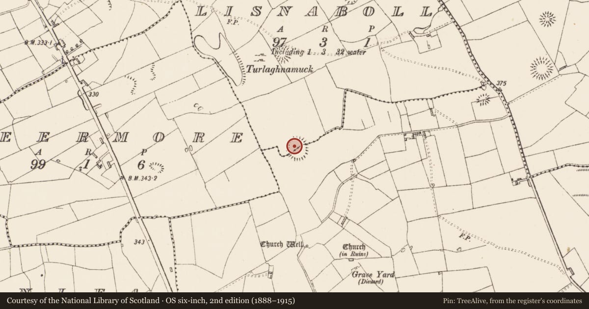 Ordnance Survey six-inch map, 2nd edition (1888–1915) covering the location of Ringfort - rath, Kilmacumsy, Lisnaboll, County Roscommon, with a pin at the register's coordinates