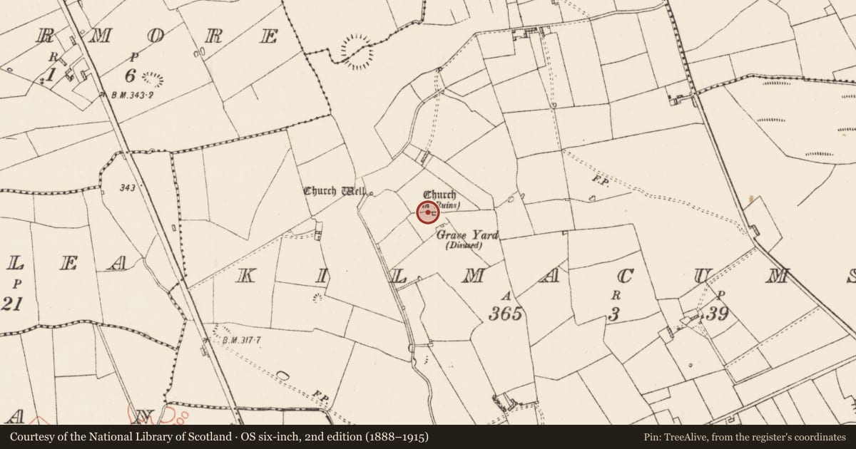 Ordnance Survey six-inch map, 2nd edition (1888–1915) covering the location of Bullaun stone, Kilmacumsy, County Roscommon, with a pin at the register's coordinates