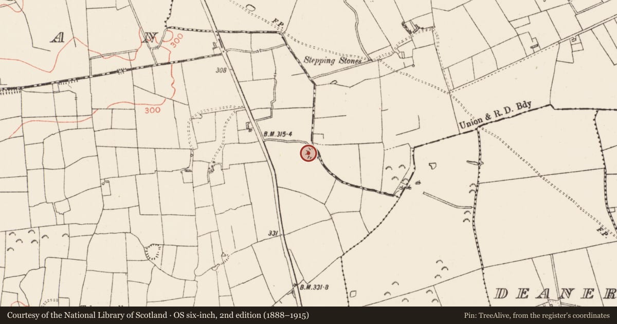 Ordnance Survey six-inch map, 2nd edition (1888–1915) covering the location of Ringfort - rath, Ballyroddy, Kilmacumsy, County Roscommon, with a pin at the register's coordinates