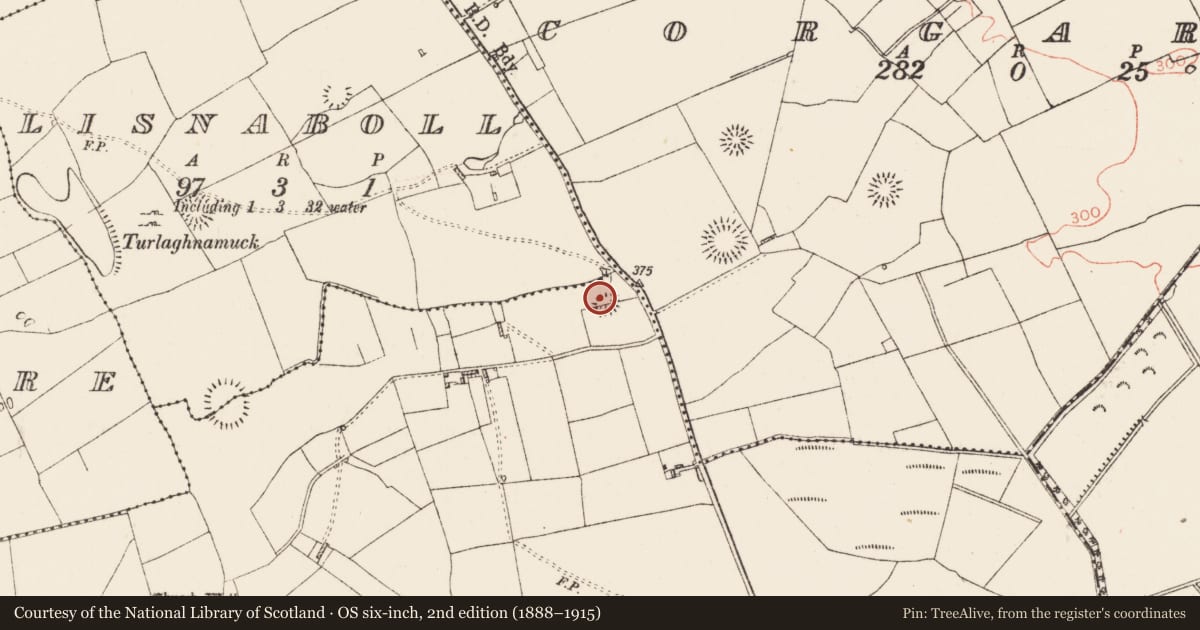 Ordnance Survey six-inch map, 2nd edition (1888–1915) covering the location of Ringfort - rath, Kilmacumsy, County Roscommon, with a pin at the register's coordinates