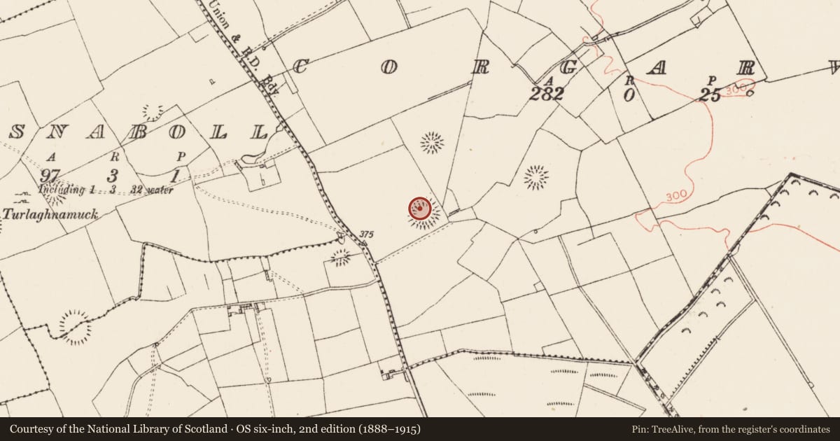 Ordnance Survey six-inch map, 2nd edition (1888–1915) covering the location of Ringfort - rath, Corgarve, County Roscommon, with a pin at the register's coordinates
